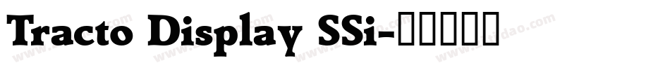 Tracto Display SSi字体转换
